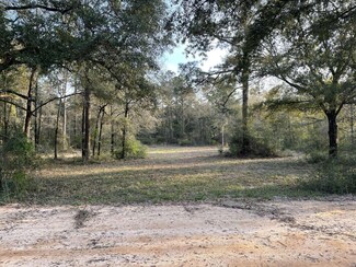 80 John Curry Rd, Defuniak Springs, FL 32435