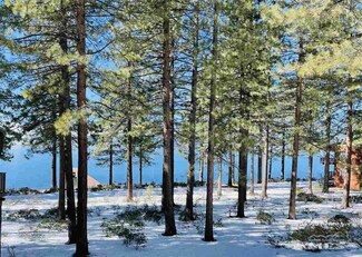 600 Highway 50 Unit 117, Zephyr Cove, NV 89448