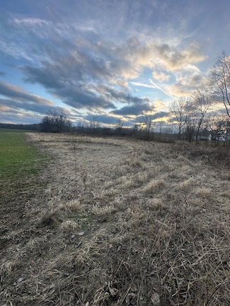 0 Baldwin Rd Unit 24064123, Swartz Creek, MI 48473