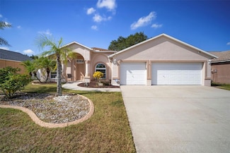 9815 La Vonda St, Riverview, FL 33569