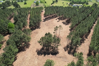 0 Lincoln Springs Rd, Gladewater, TX 75647
