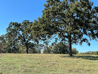 000 County Road 113, Alton, MO 65606