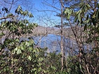 0 Vess Owen Rd Unit 26040318, Tuckasegee, NC 28723