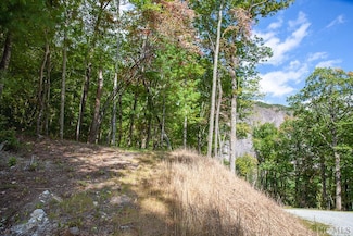 Lot 156 Lonesome Valley Rd, Sapphire, NC 28774