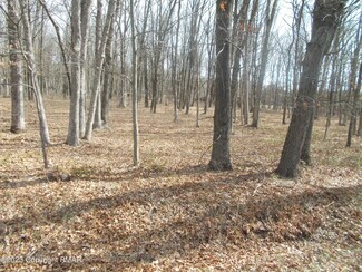 0 Brian Ln, Chestnuthill Township, PA 18330