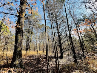 0 Miracle Temple Rd, Byhalia, MS 38611