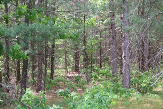 10 10th Ave, Adams, WI 53910