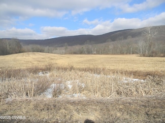 0 Pennsylvania 42, Unityville, PA 17774