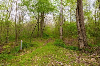 23350 Township Road 399, Coshocton, OH 43812
