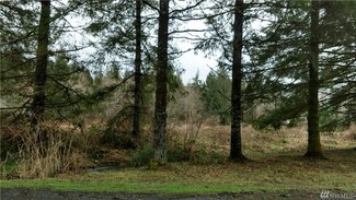 97 Hot Dog Ln, Elma, WA 98541