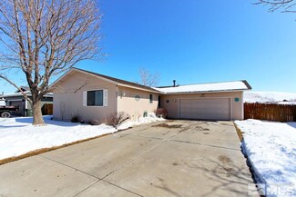 699 Bowles Ln, Gardnerville, NV 89460