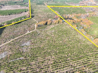 0 County Road 3201, Daingerfield, TX 75638