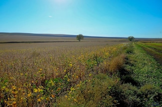 160 AC 321st Ave Unit NE4 Sec 21 T106 R 76, Central Lyman, SD 57544