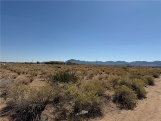 239 Lot Number Unit 239, Kingman, AZ 86409