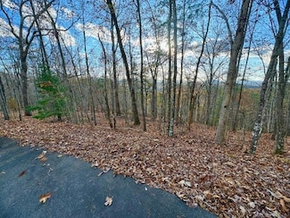Lot 49 Mission Ridge Dr, Hayesville, NC 28904