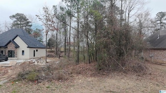 113 Melbourne Cir Unit 313, Birmingham, AL 35022
