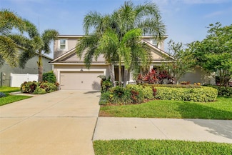 13118 Rain Lily Dr, Riverview, FL 33579