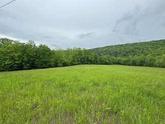 0 Ranch Rd Unit LotWP001 23772177, Ridgebury Township, PA 16925