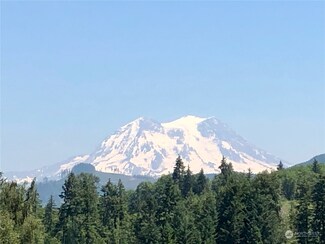 48225 Alder Cutoff Rd E, Eatonville, WA 98328