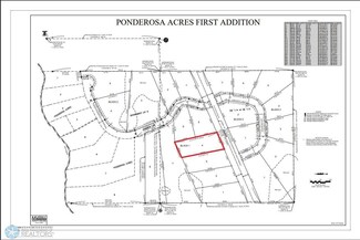 (Lot 4) TBD County Road 4, Little Elbow Township, MN 56589