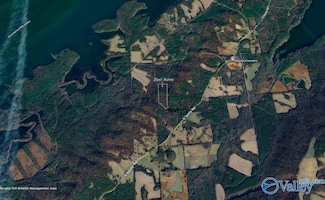 24.7 acres S Sauty Rd, Langston, AL 35755