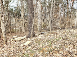 6 Lynn Dr, Maynardville, TN 37807