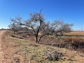 0 Farm To Market 1611, Snyder, TX 79549