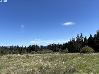 101 Cooke Rd, White Salmon, WA 98672