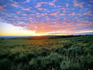 TBD Monarch Ln, Powderhorn, CO 81243