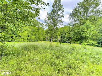0 Cove Gap Rd, Township of Taylorsville, NC 28681