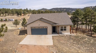 2649 Southpark Rd, Florissant, CO 80816