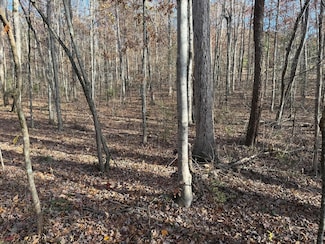 Lot 40 Hummingbird Way, Newport, TN 37821