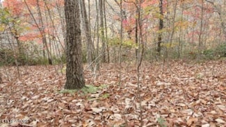 Lot 349 Drew Ct, Smithville, TN 37166
