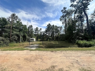 11008 Redbud Dr, Conroe, TX 77302