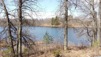 66172 N Point Dr, Iron River, WI 54847