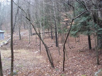 0 Cavendish Gulf Rd, Cavendish, VT 05142