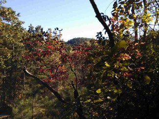 0 Foley Rd Unit 325295, Stuart, VA 24171