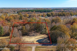 62 Shamrock Loop, Byhalia, MS 38611