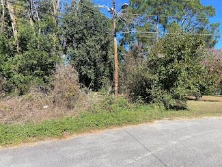 0 Jones Cir, Bishopville, SC 29010