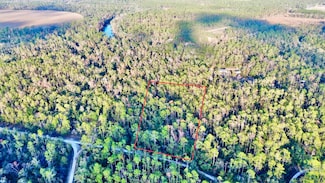 465 NE River Ridge Way, Lee, FL 32059