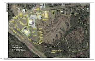 0 Hwy 61 and Hwy 84 Unit 4097219, Natchez, MS 39120