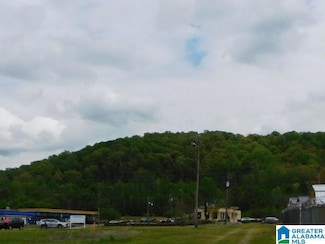 0000 Midridge Ln Unit 1, Pelham, AL 35124