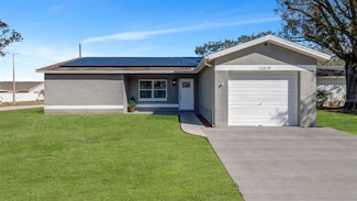 11525 Paperwood Place, Riverview, FL 33579