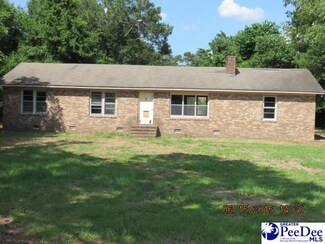 6421 Pamplico Hwy, Effingham, SC 29541