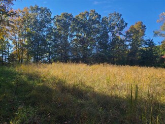 825 Forgy Mill Rd, Dunmor, KY 42339