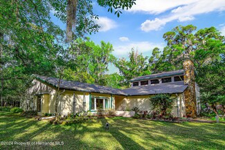 244 Lark Ave, Brooksville, FL 34601