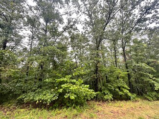 228 Lostinwoods Ln, Cape Fair, MO 65624