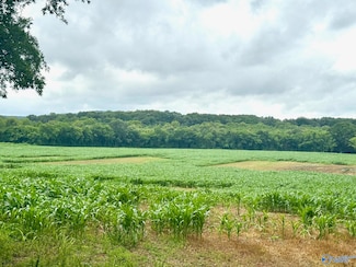 41+/- ACRES County Lake Rd, Gurley, AL 35748