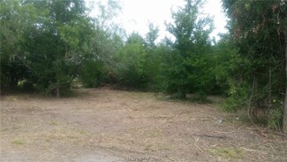 10 Acres Electric Ln, Anderson, TX 77830