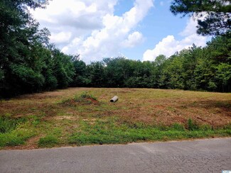00 Scott Branch Rd, New Hope, AL 35760